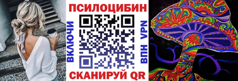 как найти   Новокубанск  Галлюциногенные грибы Magic Shrooms 
