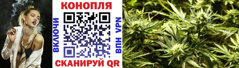 Марихуана семена  omg ONION  Новокубанск 